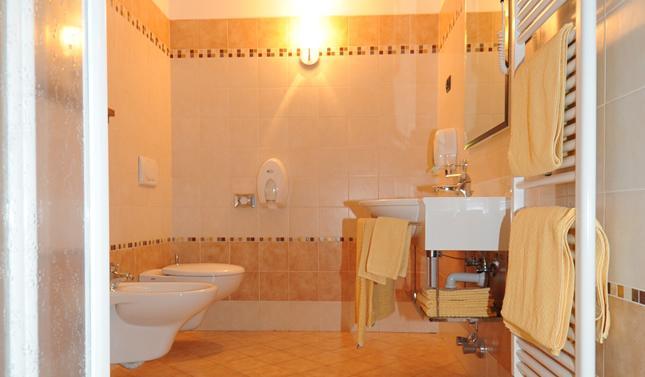 Отель Hotel Alpino