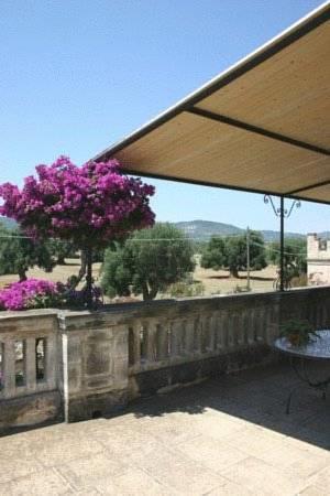 Отель Masseria Salamina