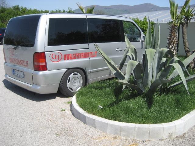 Отель Hotel Ginevra