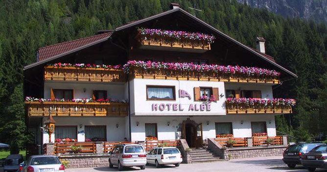 Отель Hotel Albe