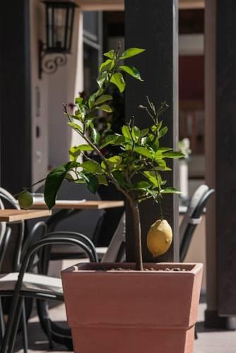 Отель Charme Hotel Friedrich