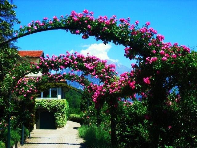 Отель Hotel Parco Belvedere