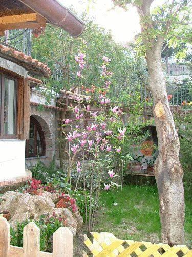 Отель Agriturismo La Casa Del Ghiro