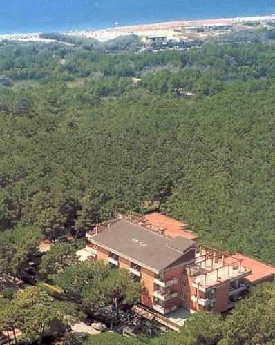 Отель Hotel Grifone