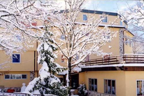 Отель Albergo Del Sole