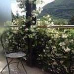 Отель Hotel Due Laghi