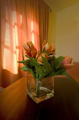 Отель Park Hotel Le Fonti
