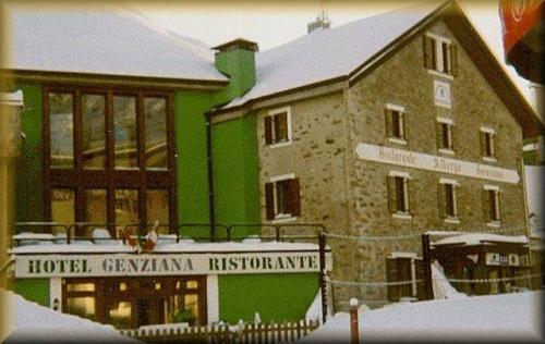 Отель Hotel Genziana