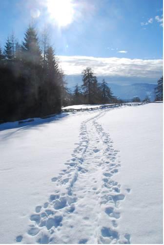 Отель Oberfahrerhof