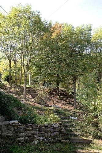 Мини-отель Agriturismo Al Mandorlo