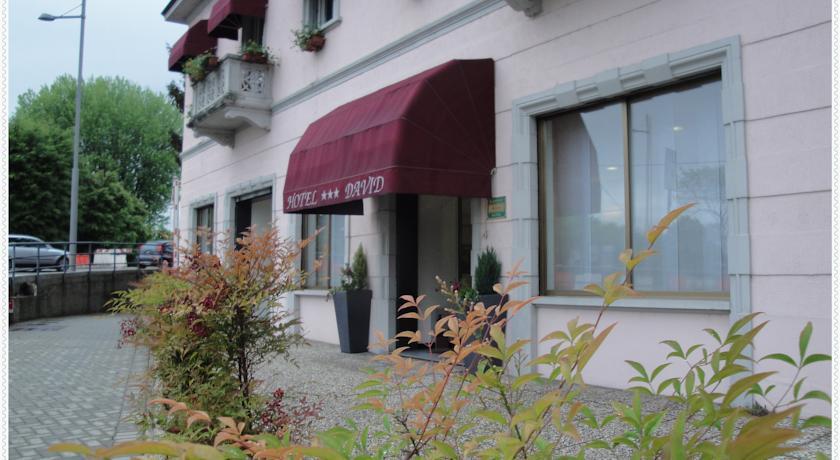 Отель Hotel David