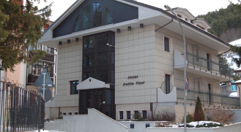 Отель Hotel Petite Fleur