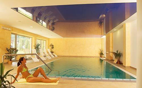 Отель Hotel Alpina