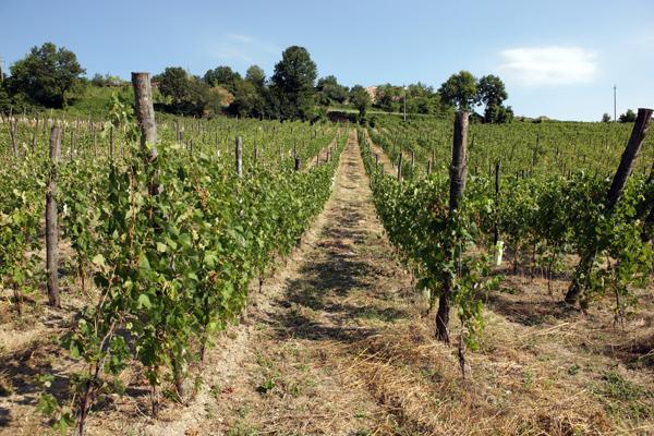 Отель Podere Pradarolo