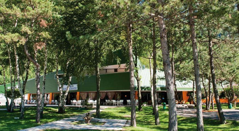 Отель Hotel Carnia