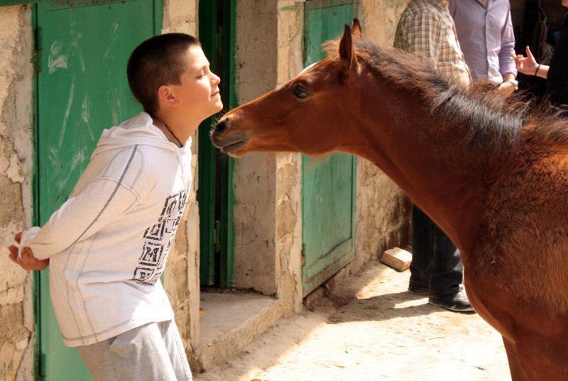 Отель Pantalica Ranch