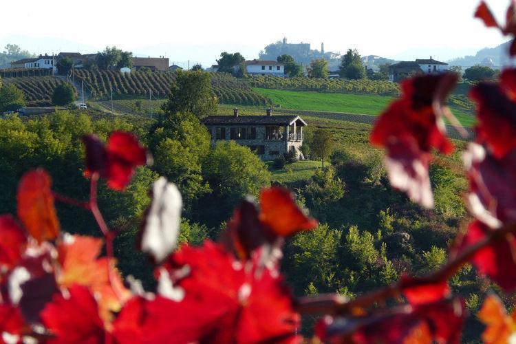 Вилла Villa Magnano Ziano Ziano