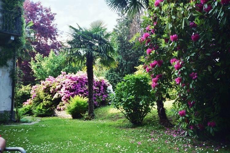 Апартаменты Apartment Lesa Rododendro Lesa