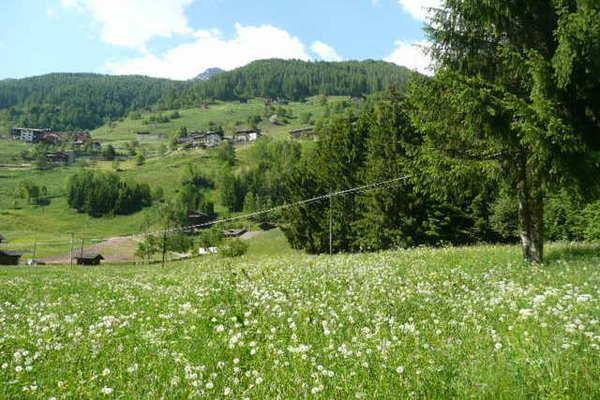 Отель Holiday Home Baita Serena Piazzola