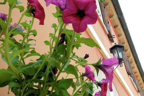 Апартаменты Holiday Home Lella Serrungarina