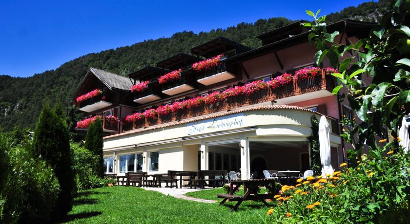Отель Hotel Ludwigshof