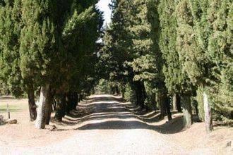Отель Holiday Home Ludovica Anghiari