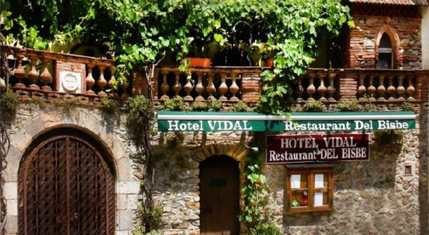 Отель Hotel Vidal