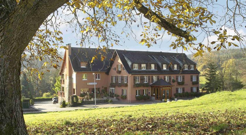 Отель Hotel Restaurant des Vosges