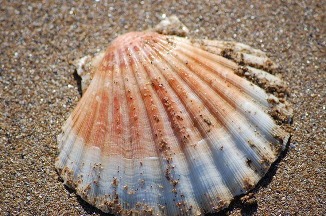 Апартаменты Gite La Mer