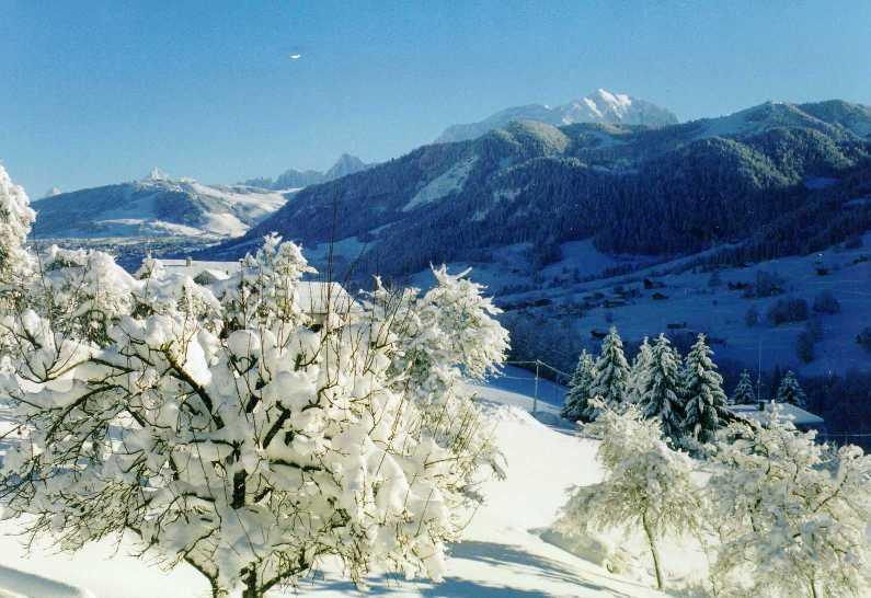 Отель Le Chalet d'Eugénie