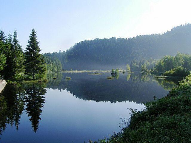 Отель Domaine du Haut des Bluches