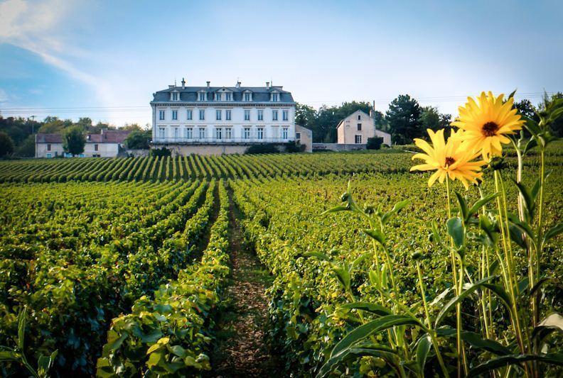 Апартаменты Gites Chateau Comblanchien
