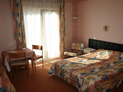 Отель Hotel de France