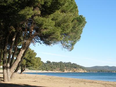 Апартаменты Ile d'Or