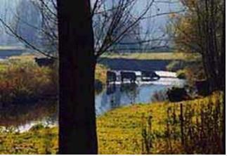 Отель Holiday Home La Rainette Hannapes