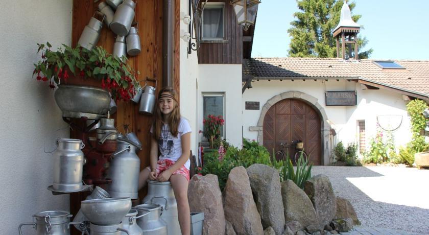 Отель Holiday Home Les Chalets Des Ayes Le Thillot V