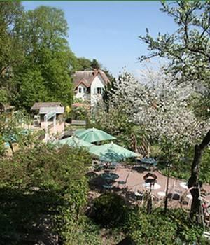 Отель Villa Rosa