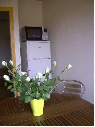 Апартаменты Le Balcon des Marronniers