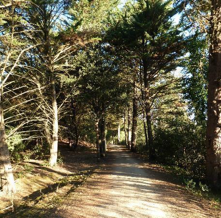 Отель Camping La Forêt