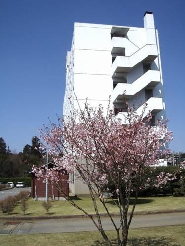 Отель Hotel Sky Court Narita