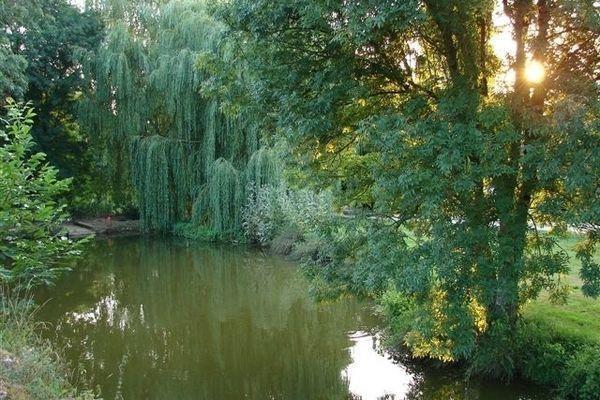 Апартаменты Holiday Home Saule Des Bois Souvigne