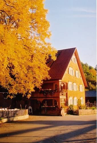 Отель Hotel Gasthaus Schäfle