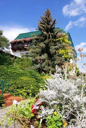 Гостевой дом Pension Haus Böhm