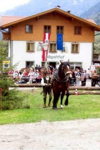 Отель Landgasthof Steiner