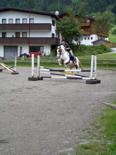 Отель Sport- und Vitalhotel Wastlhof