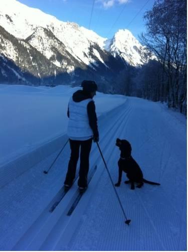 Апартаменты Apart Arlberg Wiestner Luise