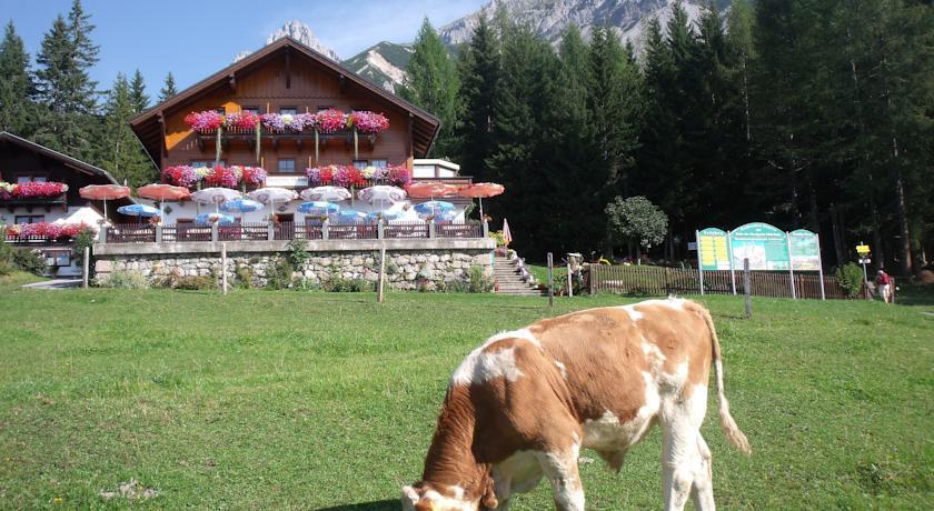 Отель Gasthof Edelbrunn