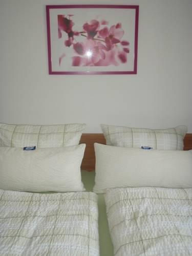 Апартаменты Ferienwohnung Engel