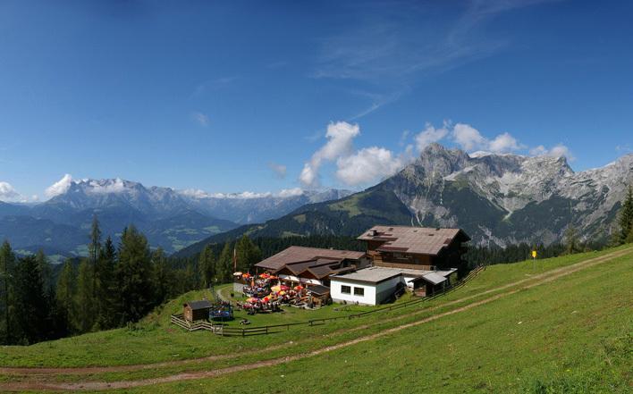 Гостевой дом Strussingalm
