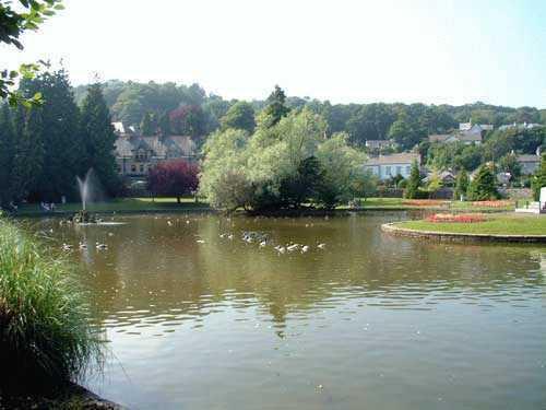 Отель Woodlands Hotel & Pine Lodges
